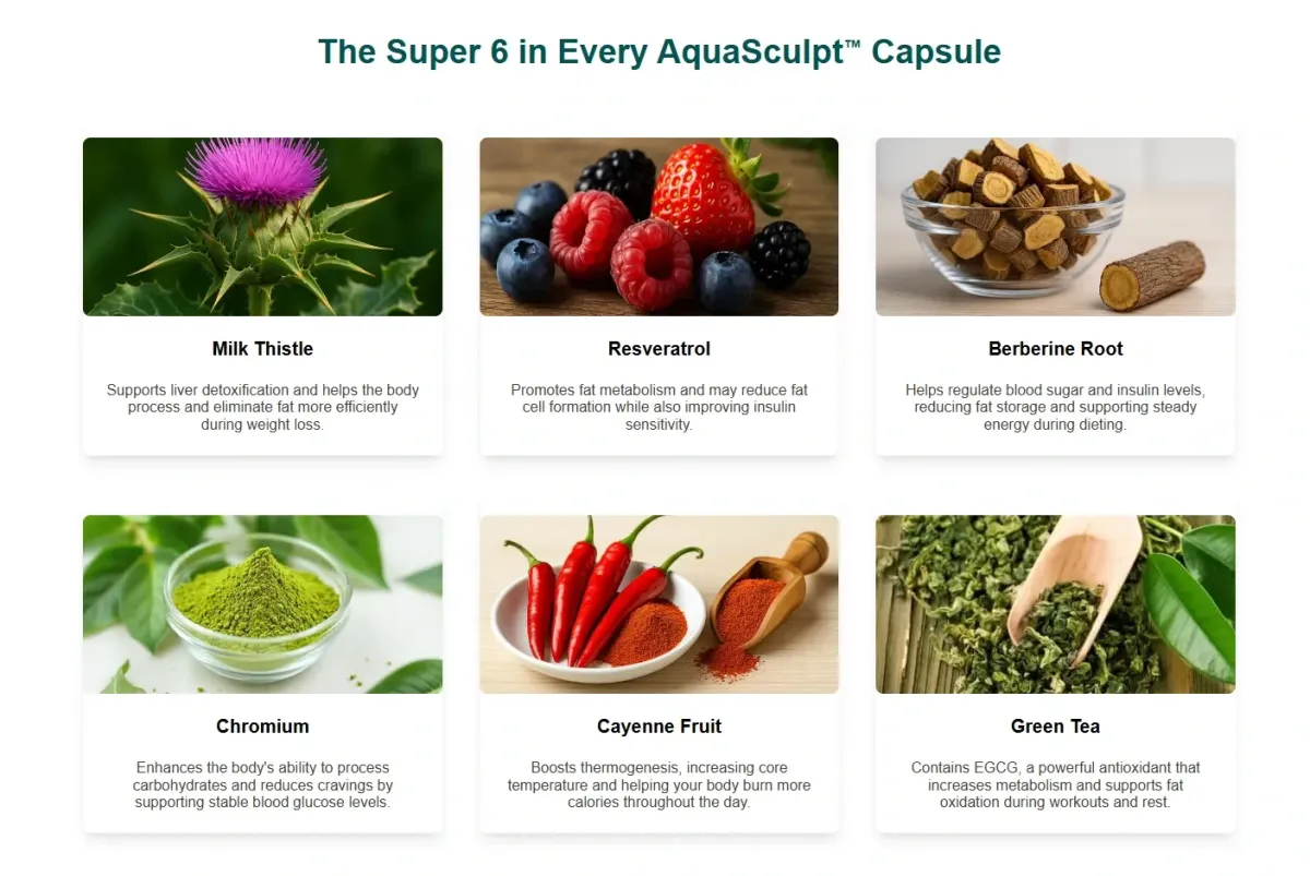 Aqua sculpt ingredients